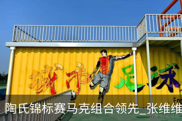 陶氏锦标赛马克组合领先 张维维/张雅惠上升到T10